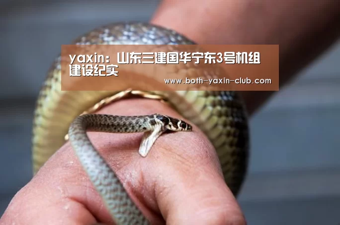 yaxin:山东三建国华宁东3号机组建设纪实(图2) 亚新体育