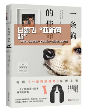 白露飞“亚新网站”(图2) 亚新app