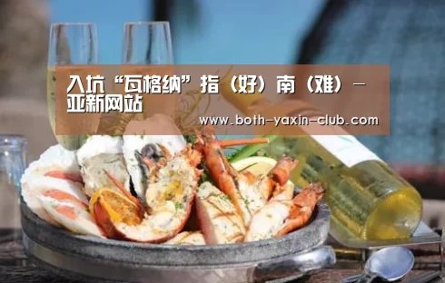 入坑“瓦格纳”指(好)南(难)-亚新网站(图2) 亚新app