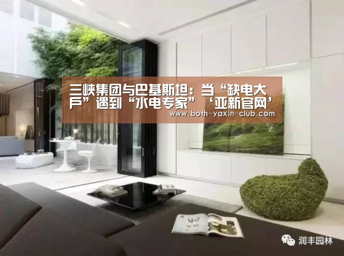 三峡集团与巴基斯坦:当“缺电大户”遇到“水电专家”‘亚新官网’(图1) 三峡集团与巴基斯坦:当“缺电大户”遇到“水电专家”‘亚新官网’(图1)