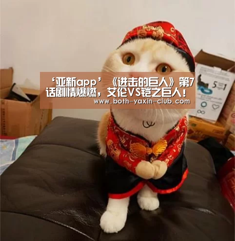 亚新官网